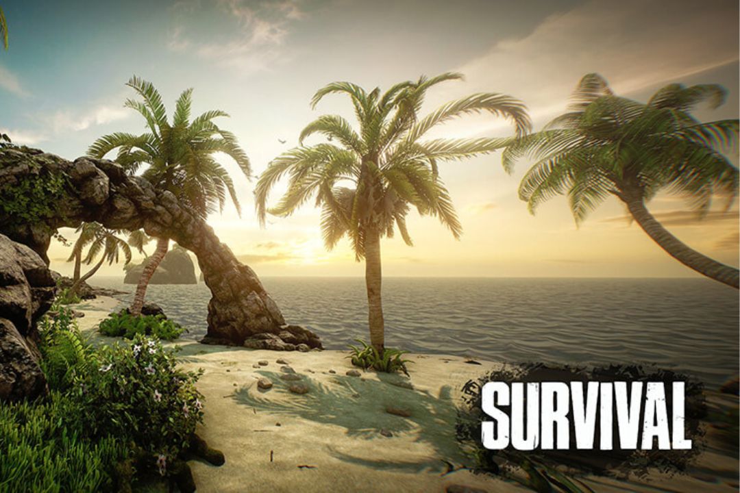 Survival Lost Virtual Reality Game